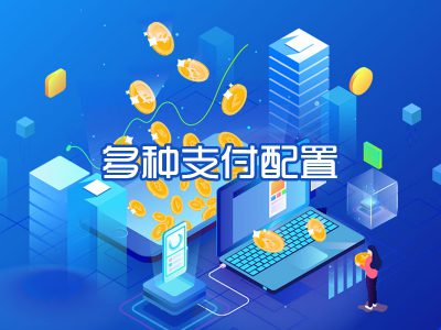 多种支付配置