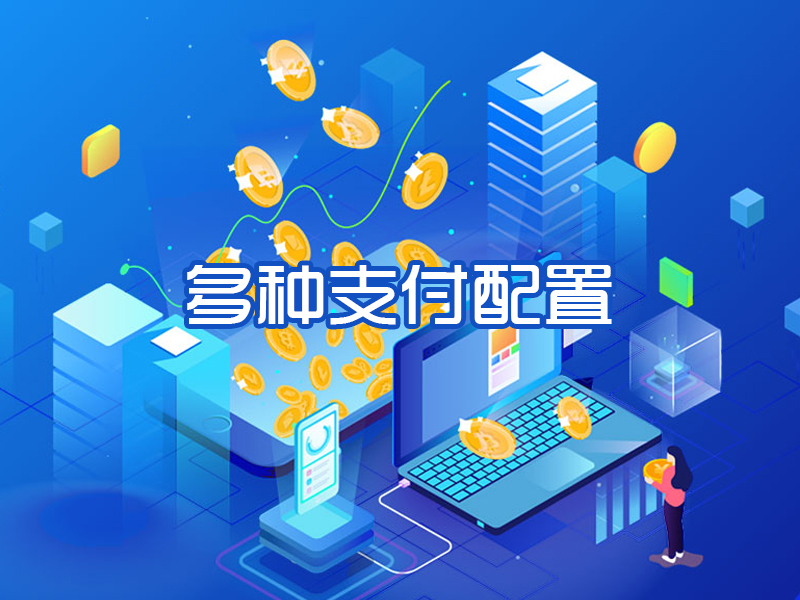 多种支付配置