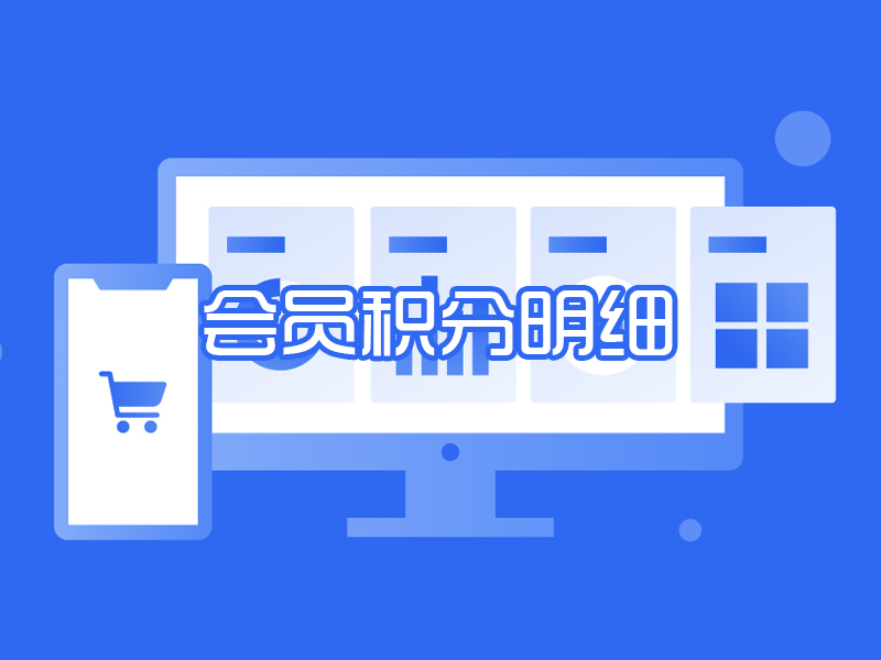 会员积分明细