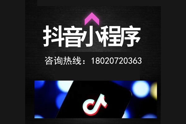 正规抖音小程序：价格详解与分析